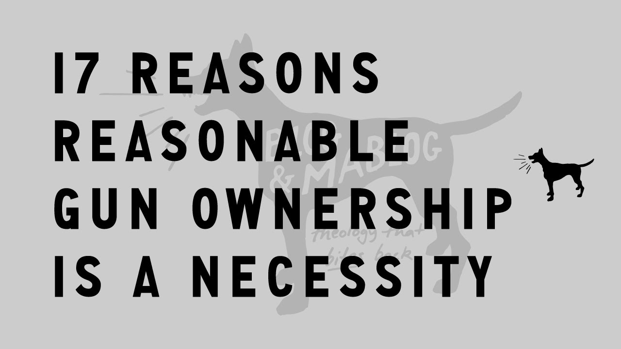 17 Reasons Responsible Gun Ownership Is A Necessity