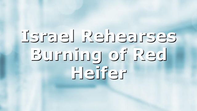 Israel Rehearses Burning of Red Heifer