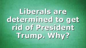 Liberals are determined to get rid of President Trump. Why?