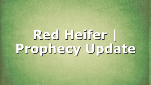 Red Heifer | Prophecy Update