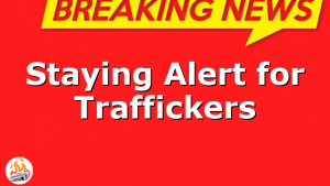 Staying Alert for Traffickers
