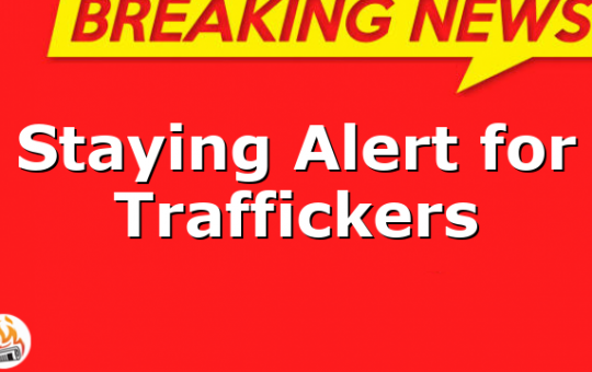 Staying Alert for Traffickers