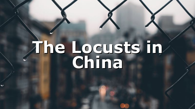 The Locusts in China