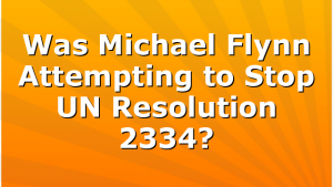 Was Michael Flynn Attempting to Stop UN Resolution 2334?