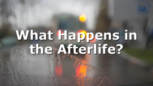What Happens in the Afterlife?