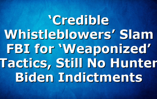 ‘Credible Whistleblowers’ Slam FBI for ‘Weaponized’ Tactics, Still No Hunter Biden Indictments