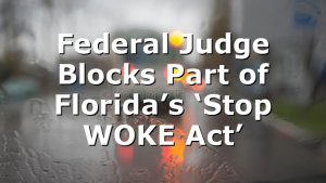 Federal Judge Blocks Part of Florida’s ‘Stop WOKE Act’
