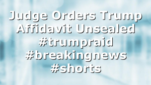 Judge Orders Trump Affidavit Unsealed #trumpraid #breakingnews #shorts