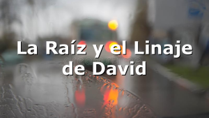 La Raíz y el Linaje de David