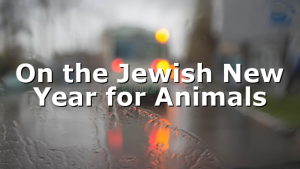 On the Jewish New Year for Animals