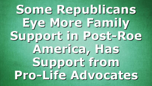 Some Republicans Eye More Family Support in Post-Roe America, Has Support from Pro-Life Advocates