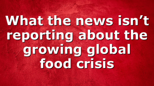 What the news isn’t reporting about the growing global food crisis