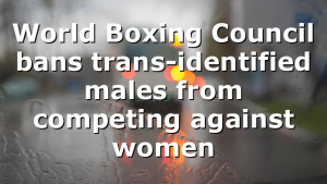 World Boxing Council bans trans-identified males from competing against women