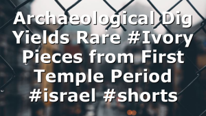 Archaeological Dig Yields Rare #Ivory Pieces from First Temple Period #israel #shorts