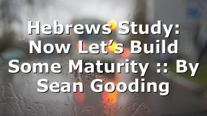 Hebrews Study: Now Let’s Build Some Maturity :: By Sean Gooding