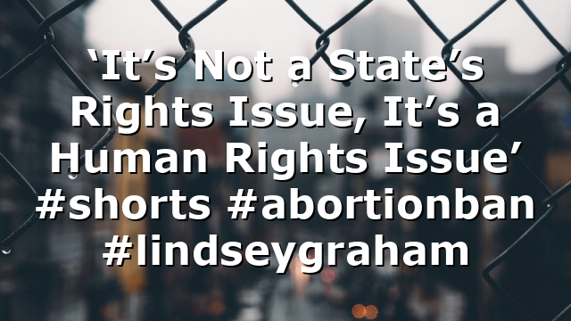 ‘It’s Not a State’s Rights Issue, It’s a Human Rights Issue’ #shorts #abortionban #lindseygraham