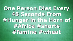 One Person Dies Every 48 Seconds From #Hunger in the Horn of #Africa #shorts #famine #wheat