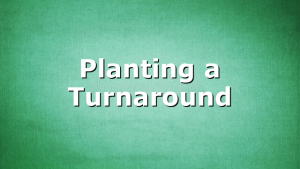 Planting a Turnaround