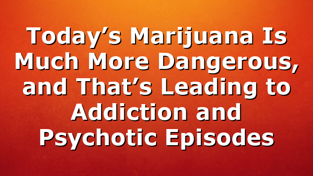 Today’s Marijuana Is Much More Dangerous, and That’s Leading to Addiction and Psychotic Episodes