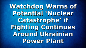 Watchdog Warns of Potential ‘Nuclear Catastrophe’ if Fighting Continues Around Ukrainian Power Plant