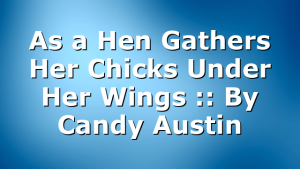 As a Hen Gathers Her Chicks Under Her Wings :: By Candy Austin