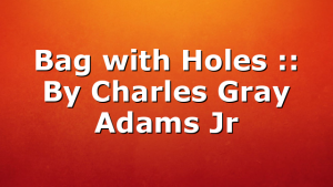 Bag with Holes :: By Charles Gray Adams Jr