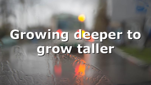Growing deeper to grow taller