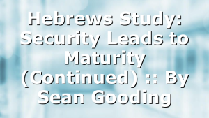 Hebrews Study: Security Leads to Maturity (Continued) :: By Sean Gooding