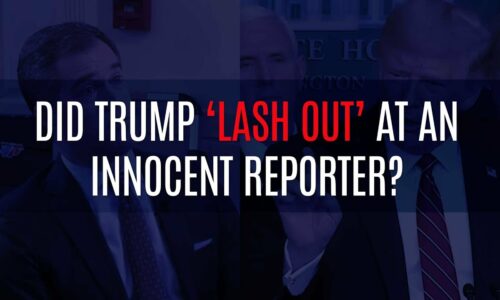 Did President Trump ‘Lash Out’ at an Innocent Reporter?